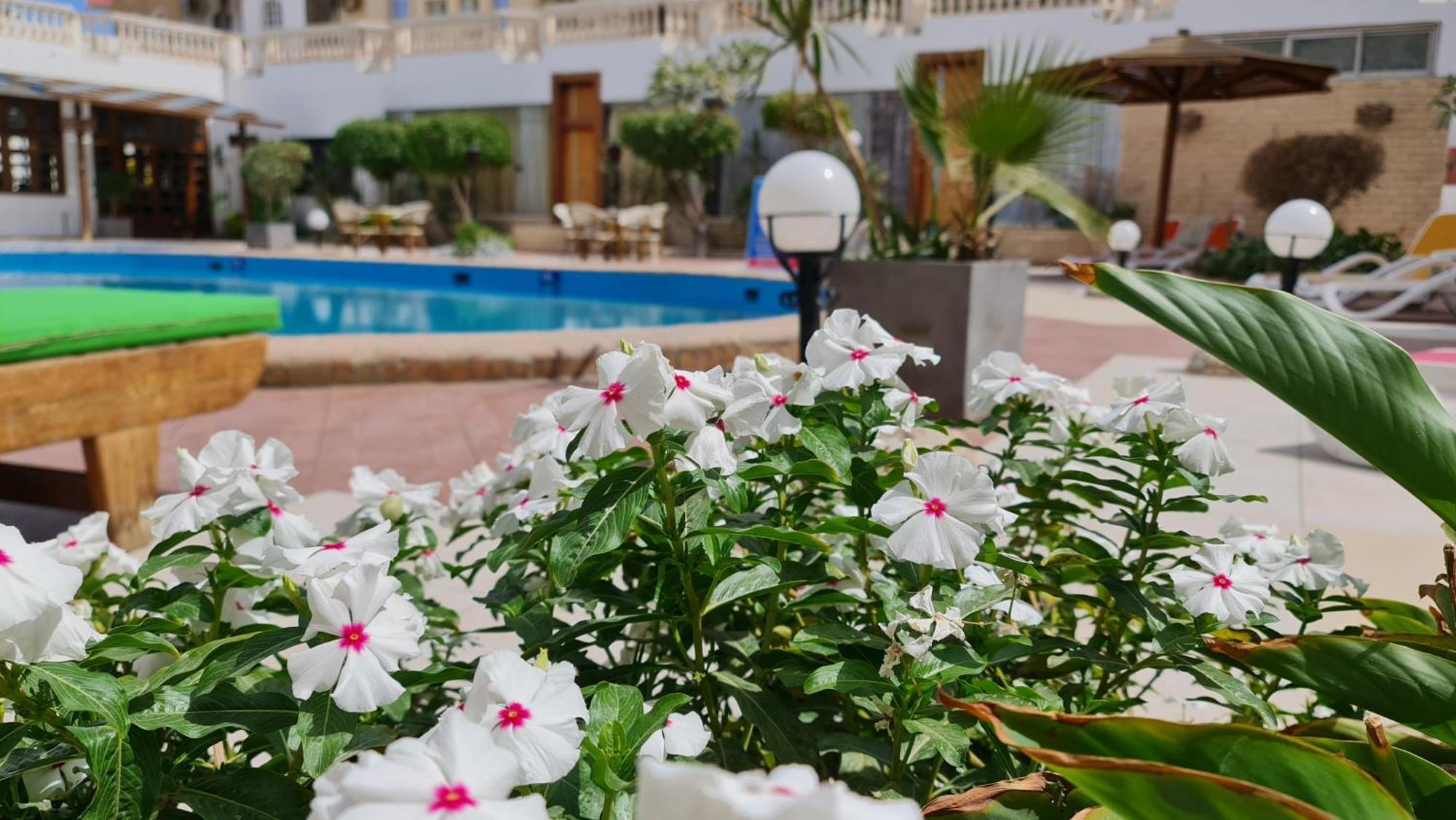 Zak Inn Hurghada Esterno foto